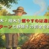 庭木・枝木を燃やすのは違法？例外パターンと野焼きの罰金を徹底解説