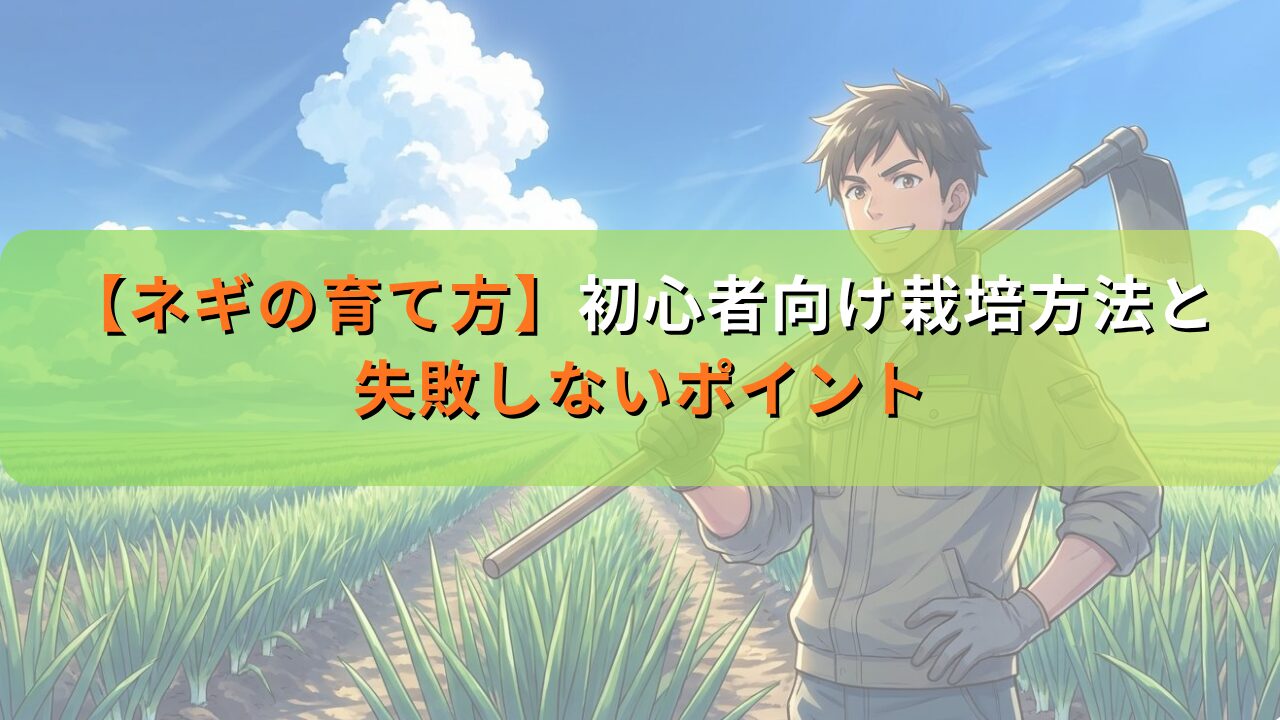 【ネギの育て方】初心者向け栽培方法と失敗しないポイント
