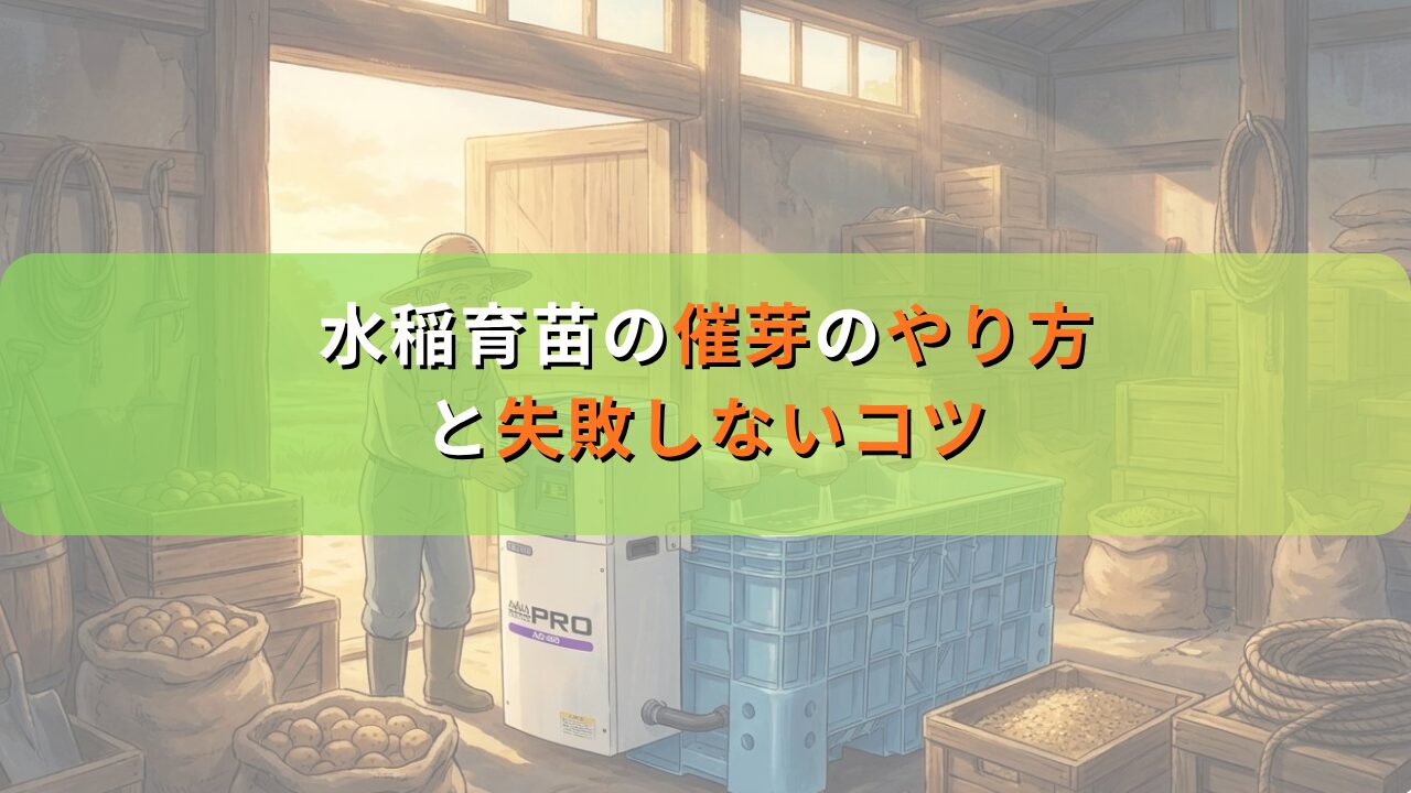 水稲育苗の催芽のやり方と失敗しないコツ