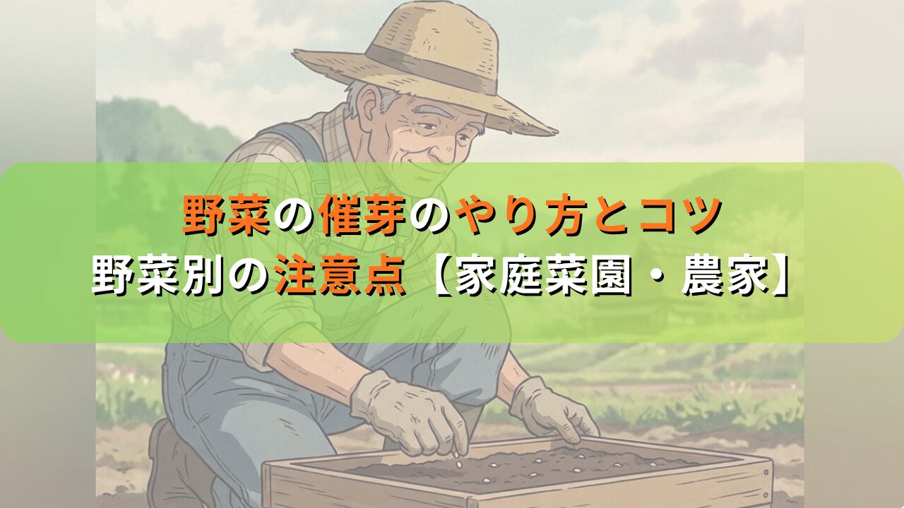 野菜の催芽のやり方とコツ｜トマト・ナス・ほうれん草など野菜別に解説