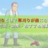 高刈りとは？草刈りが楽になる？方法・効果・おすすめ道具