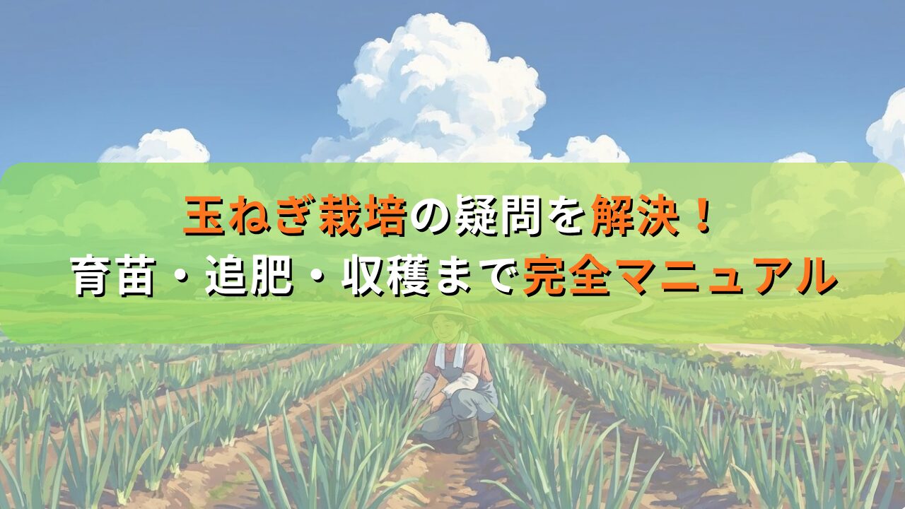 玉ねぎ栽培の疑問を解決！育苗・追肥・収穫までマニュアル