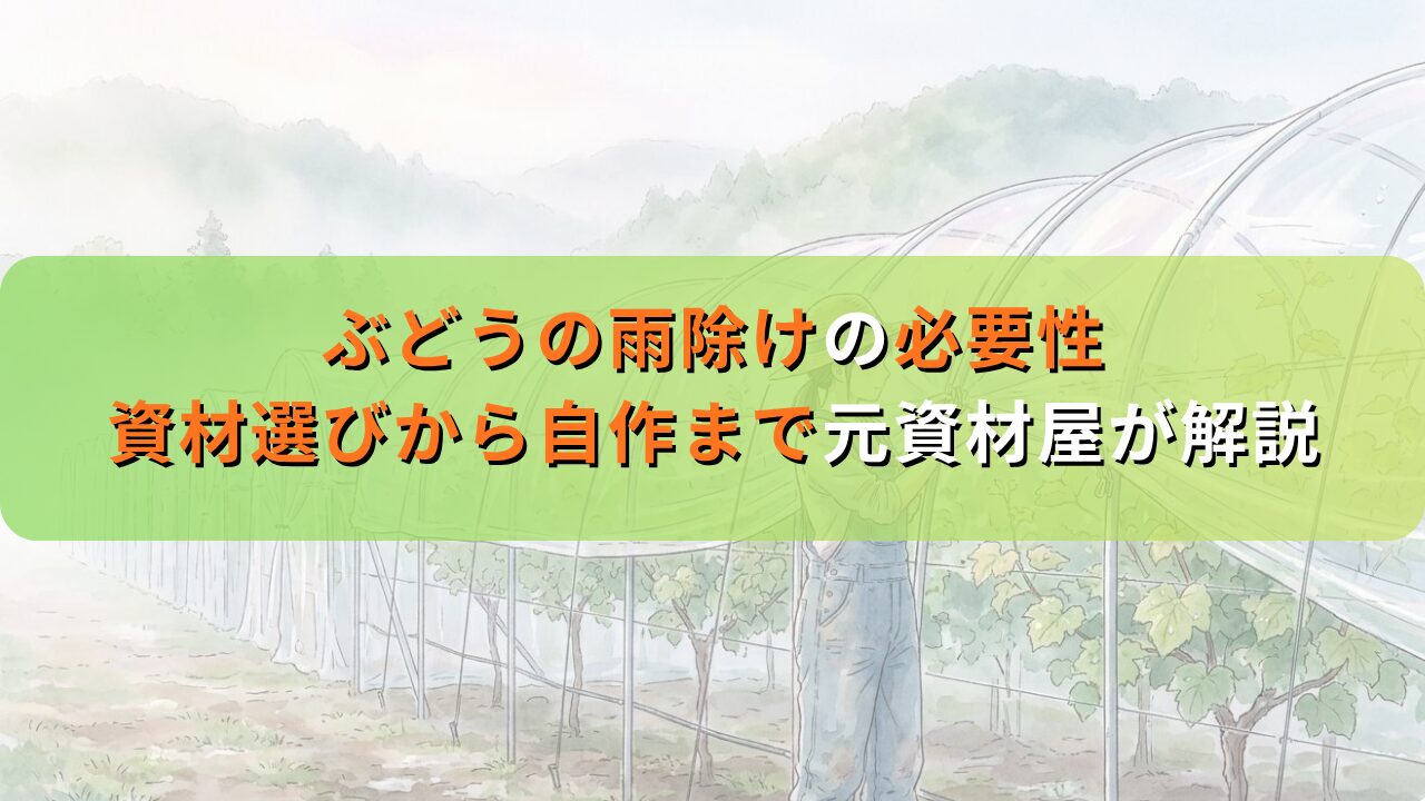 ぶどうの雨除けの必要性と資材選びから自作まで元資材屋が解説