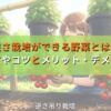 逆さ栽培ができる野菜とは？やり方とメリット・デメリット