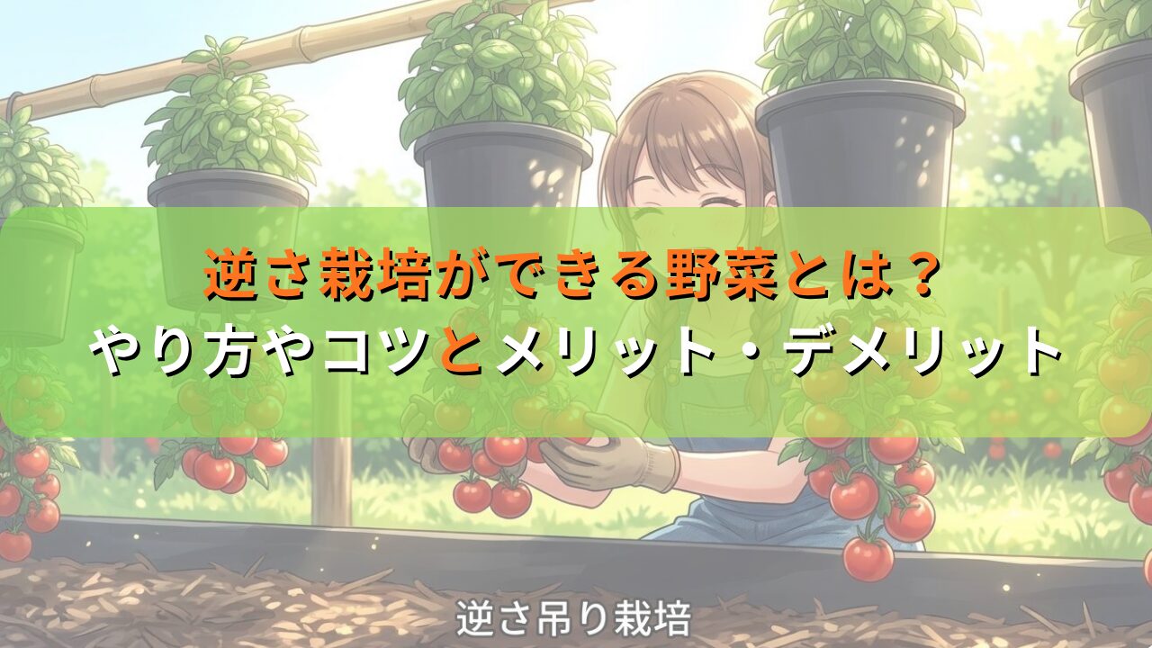 逆さ栽培ができる野菜とは？やり方とメリット・デメリット