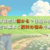 そば栽培は儲かる？仕組みから栽培の基本と肥料の悩みを解決