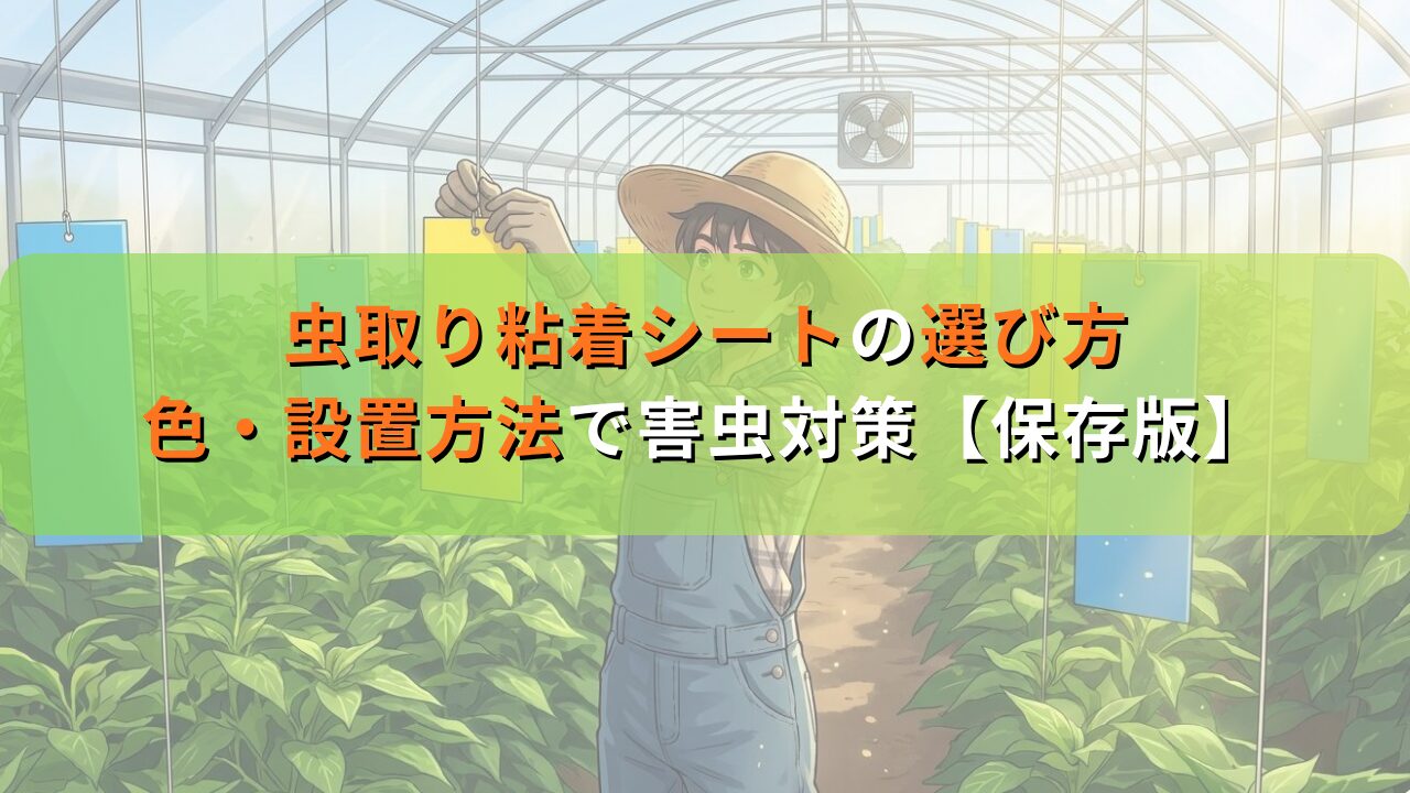 虫取り粘着シートの選び方｜色・設置方法で害虫対策【保存版】