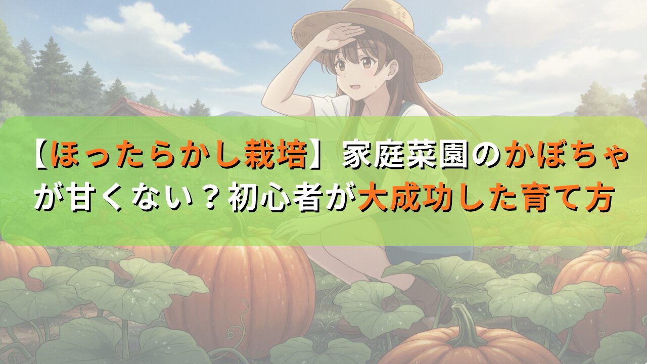 【ほったらかし栽培】家庭菜園のかぼちゃが甘くない？初心者が大成功した育て方