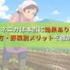イネニカは本当に効果あり？使い方・野菜別メリットを徹底解説