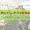 【農業でクロマルハナバチの使用ガイド】使い方要注意？間違えると全滅！