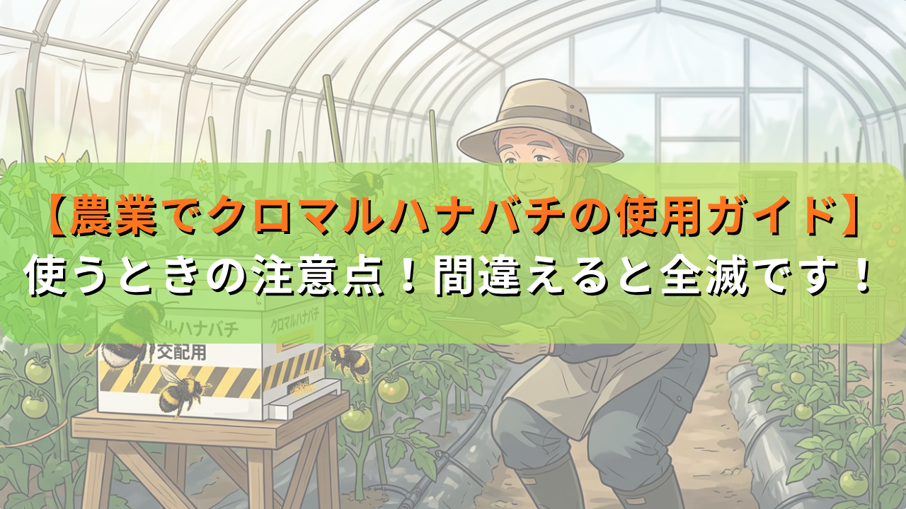 【農業でクロマルハナバチの使用ガイド】使い方要注意？間違えると全滅！